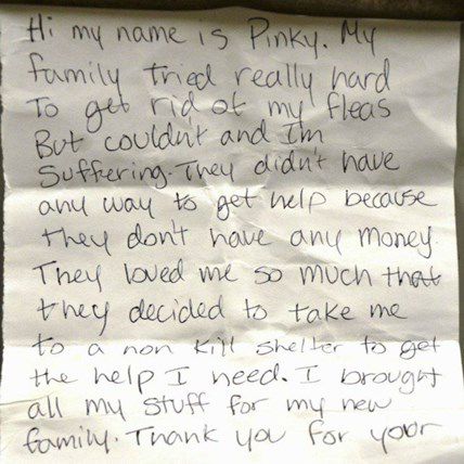 Dog Surrendered to Shelter with Tear-Jerking Note
