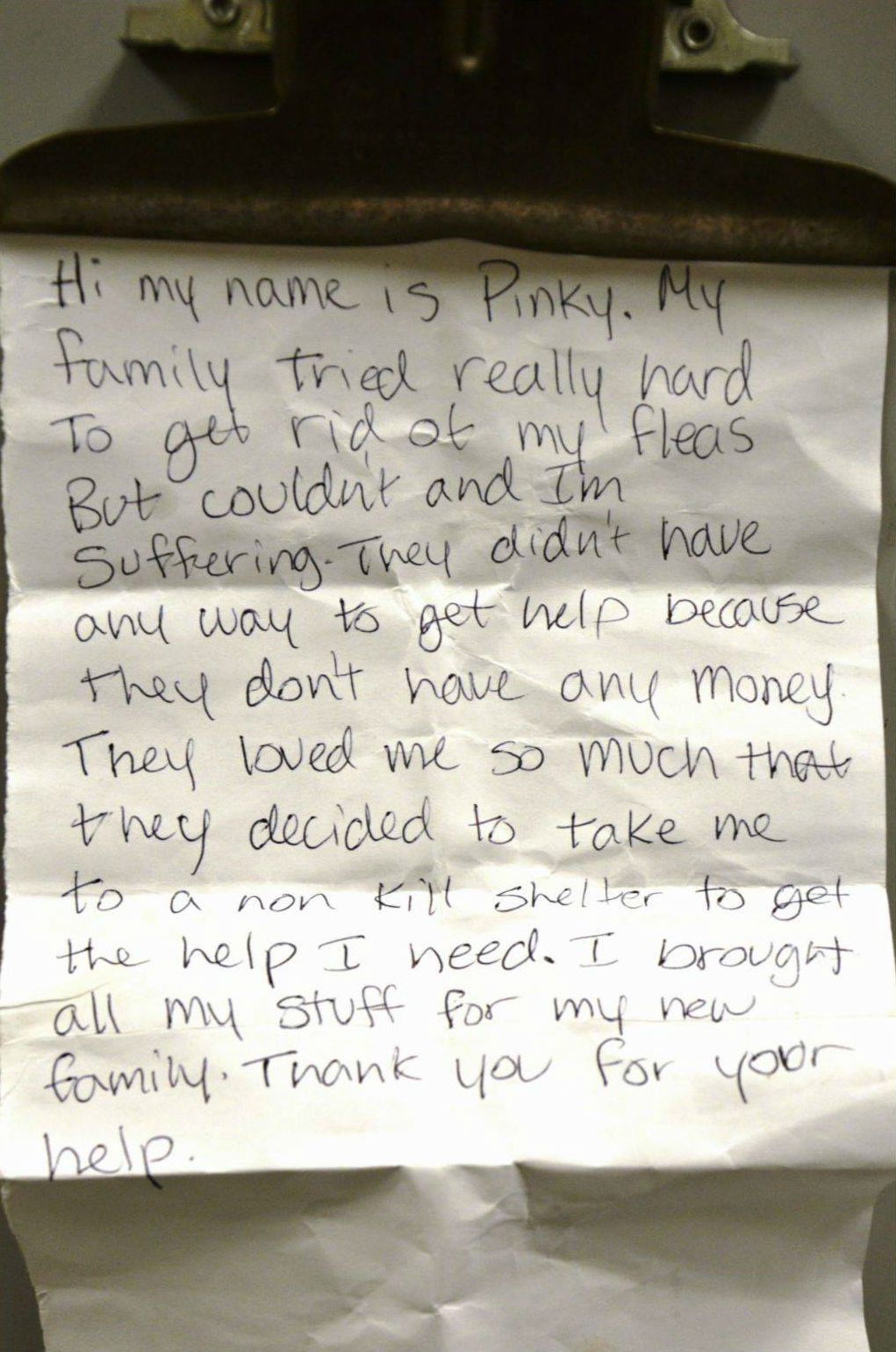 Dog Surrendered to Shelter with Tear-Jerking Note