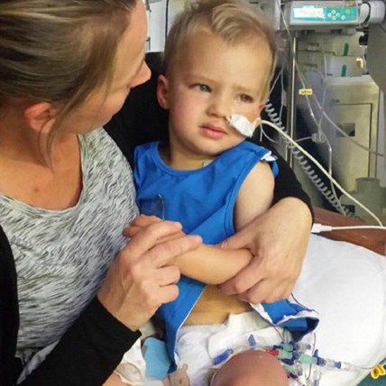 Hero Dog Saves Two-Year-Old from Drowning