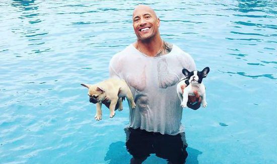 Dwayne ‘ The Rock’ Johnson Rescues Drowning Puppy