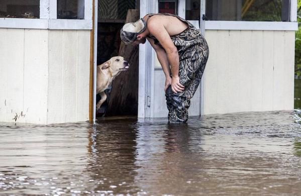 Man Rescues Abandoned Dog From Flood, Now They Are Inseparable