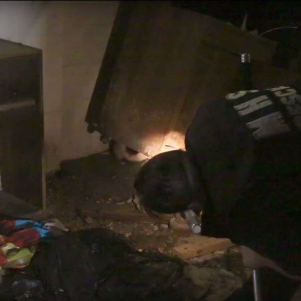 Split Second Decision Saves Puppies from Being Demolished