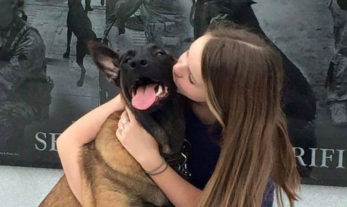 “No More Military Dogs Left Overseas” Says New Law