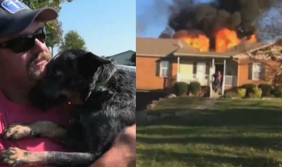 Hero Rushes Into Burning Home to Save Helpless Dog
