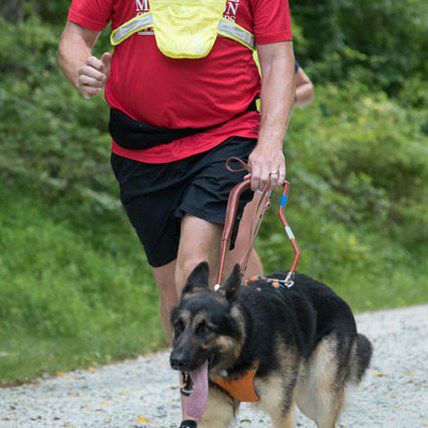 Running Guide Dog Gives Blind Marathoner Second Wind