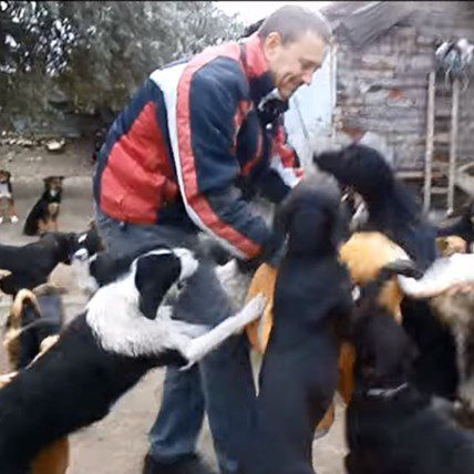 Watch This Hero Rescue 450 Dogs From Life On The Street