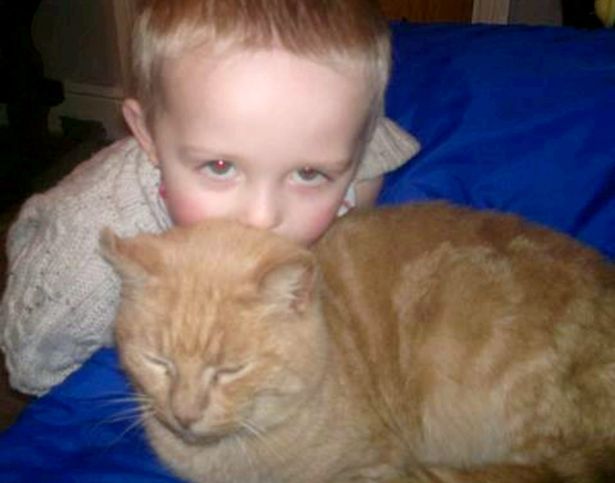 This 5-Year-Old's Reaction To Finding His Lost Cat Is Amazing
