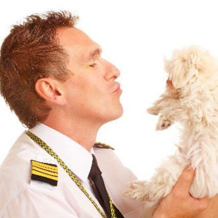 “Now Boarding All Dogs” - Delta To Allow Dogs In Main Cabin