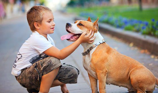 Study Says Dogs Make Kids Healthier, Emotionally and Physically