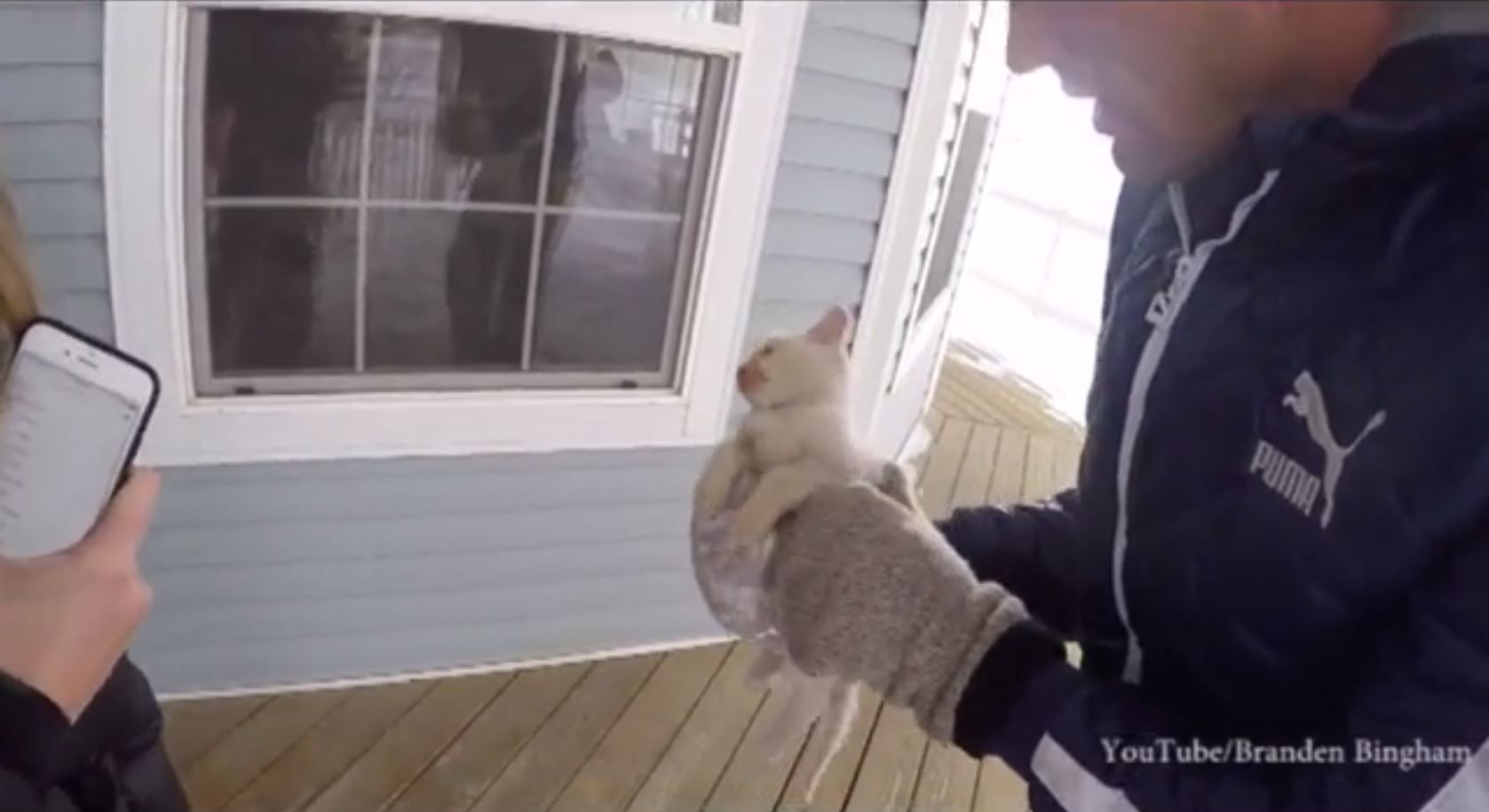 Watch Kitten Frozen In Ice Make Amazing Recovery