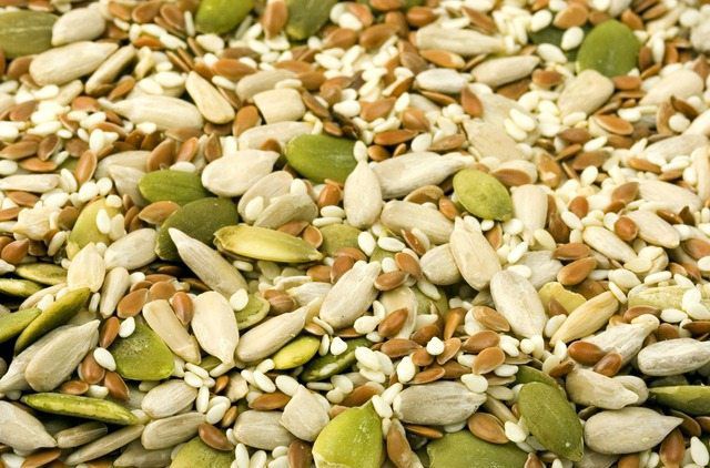 Everything a Dog Owner Needs to Know About Nuts and Seeds