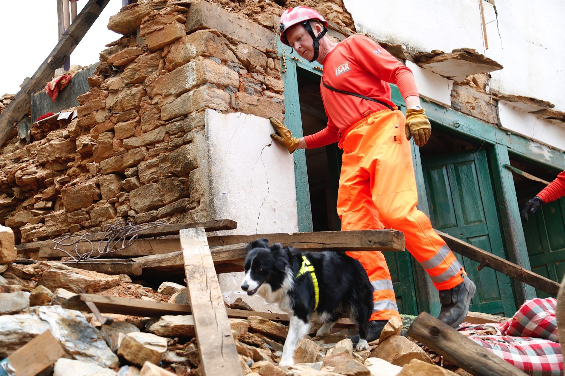 The Dangers Faced By Search and Rescue Dogs