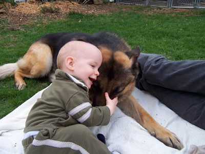 How Can I Make My Baby and Dog Bond With Each Other? | PetCareRx