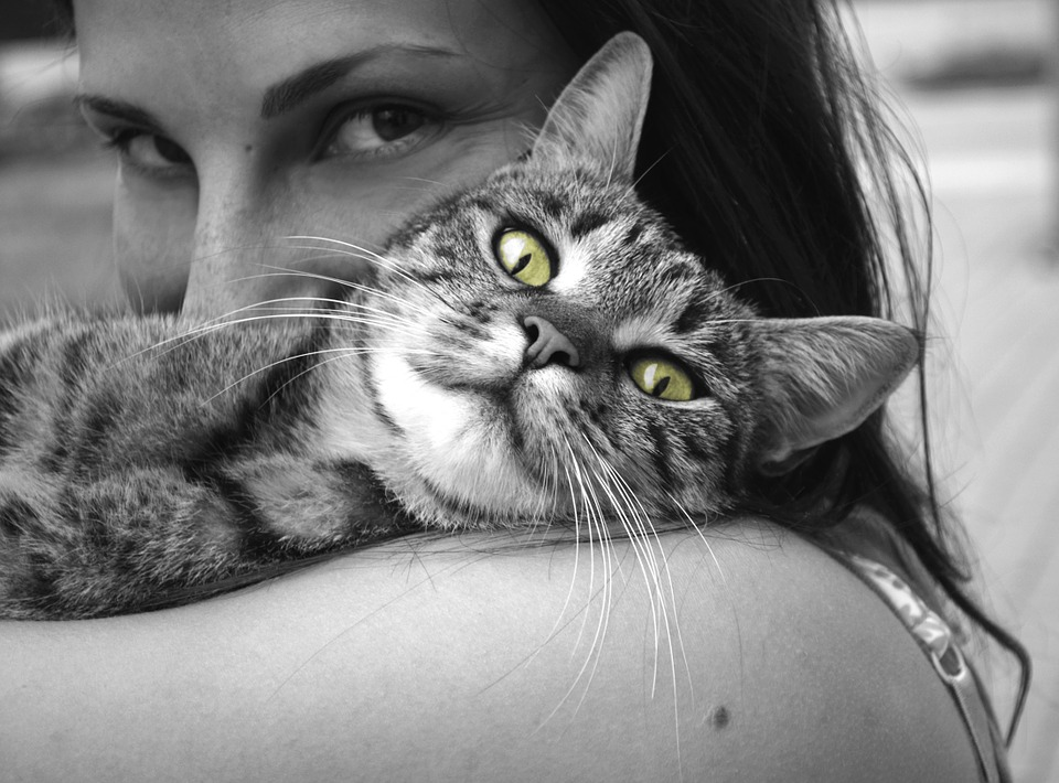 5 Ways To Appreciate Your Cat For Everything She Does
