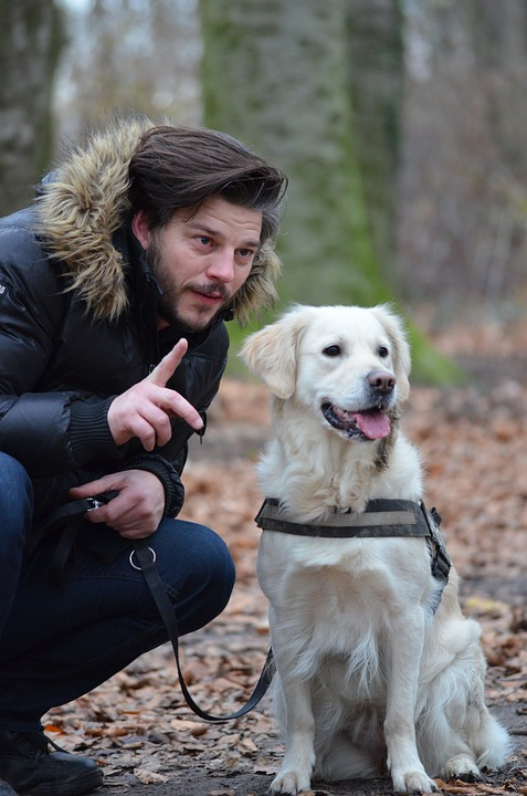 Are Dogs Attacking You? Your Personality Could be One of the Reasons