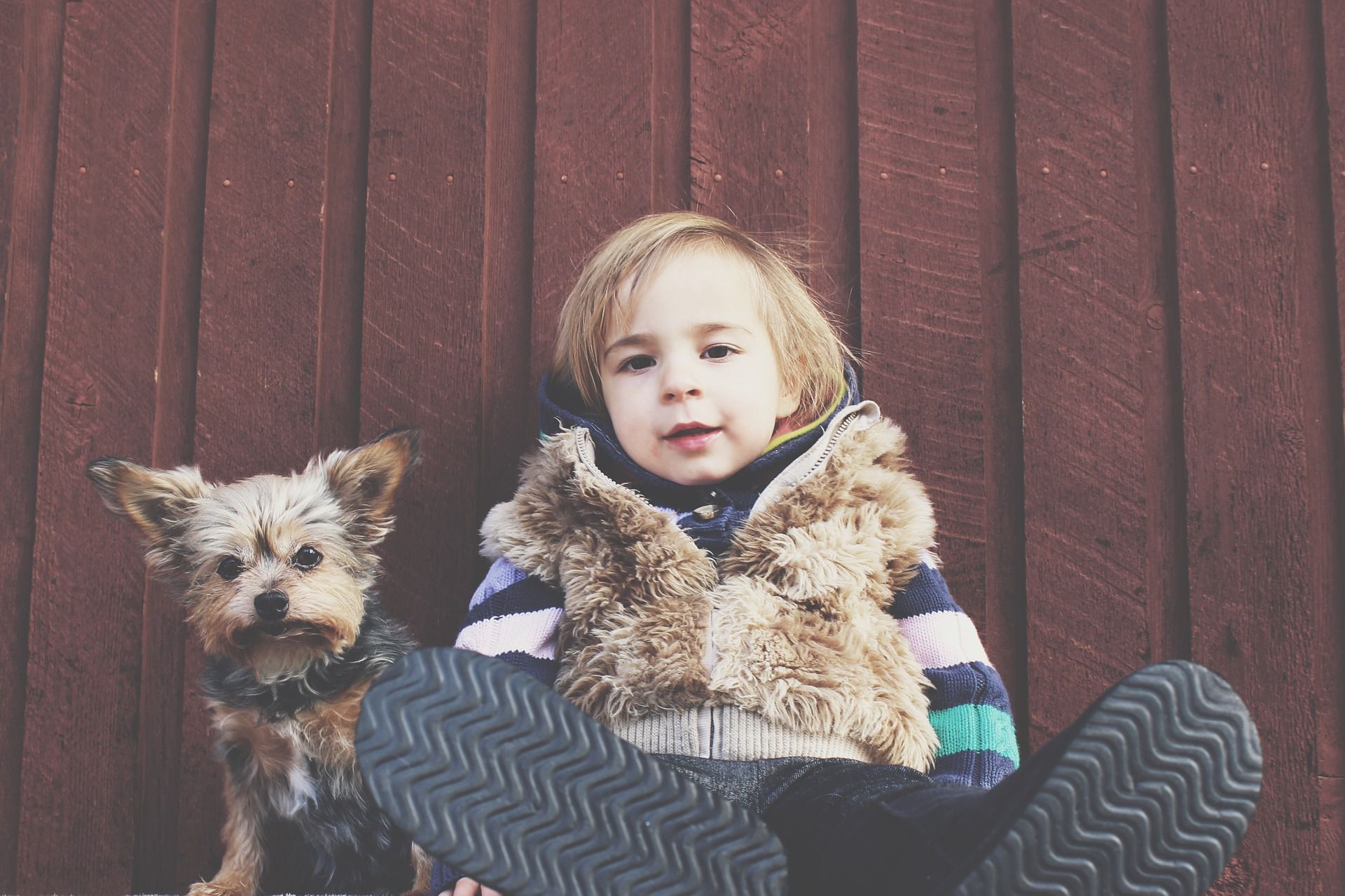 At What Age Should You Get a Pet for Your Child?