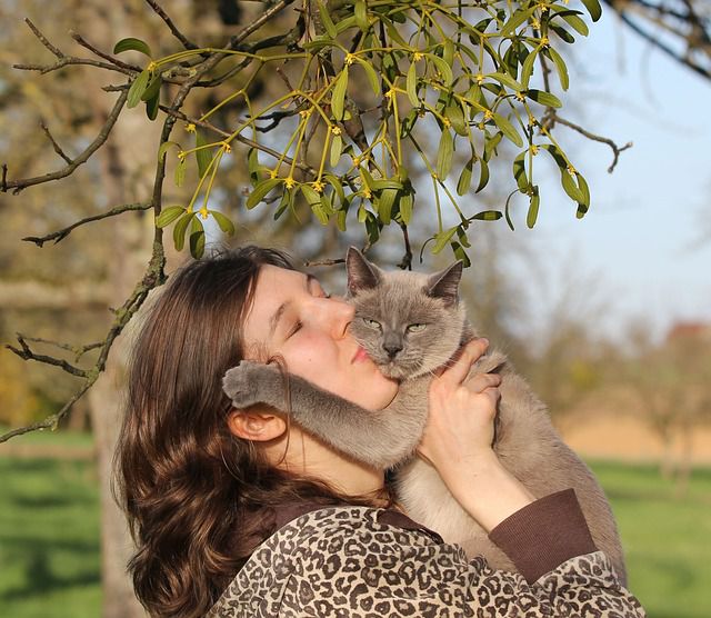 Kissing Your Cat
