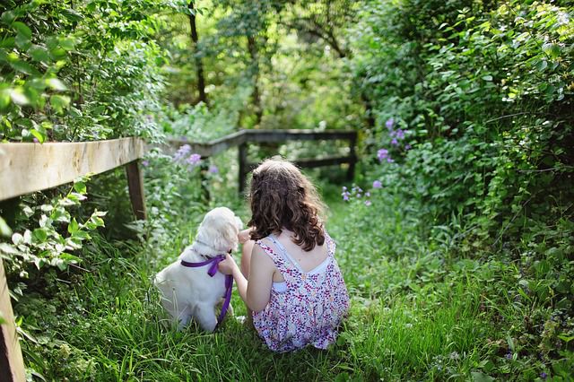 How can you teach your child to train your dog?