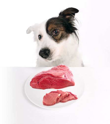 Beef up your homemade dog meals with vitamins and minerals