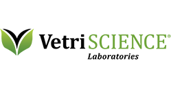 this brands logo