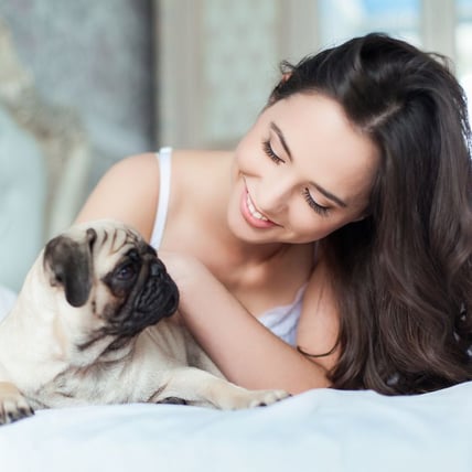 Should Your Pets Be Allowed to Sleep in Bed With You?
