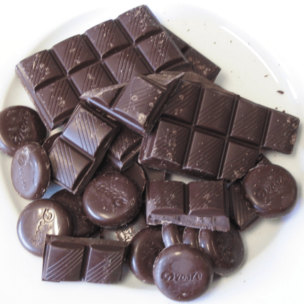 Foods That You Should Never Give Your Dog