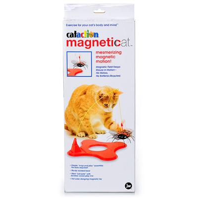 Magneticat Toy