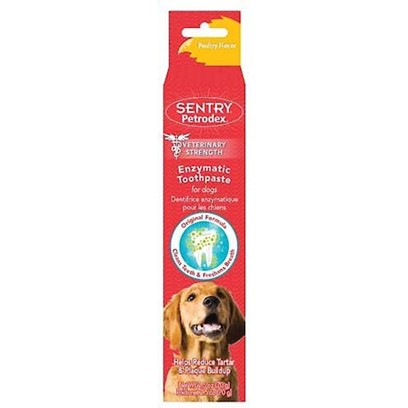 Petrodex Toothpaste for Dogs 