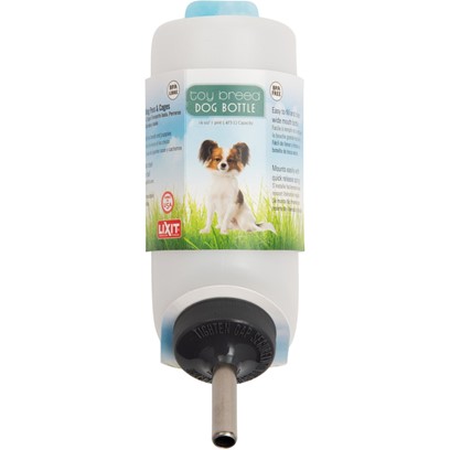 Water Bottle 16Oz For Toy Dog Breeds