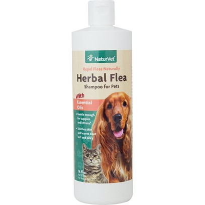 NaturVet Herbal Flea Shampoo