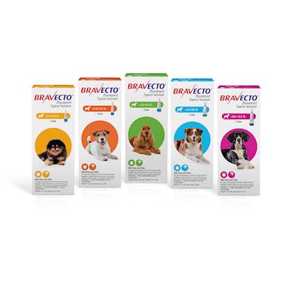 Bravecto For Dogs Topical