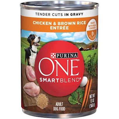 Purina ONE Tender Cuts Wholesome Chicken Canned Dog Food