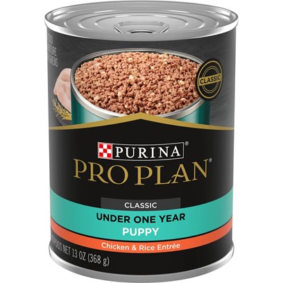 Purina Pro Plan Focus Puppy Chicken and Rice Canned Dog Food