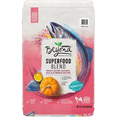 Purina Beyond Superfood Blend Salmon, Egg and Pumpkin Recipe Dry Dog Food