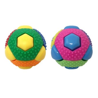 Theo TPR Ball Dog Toy