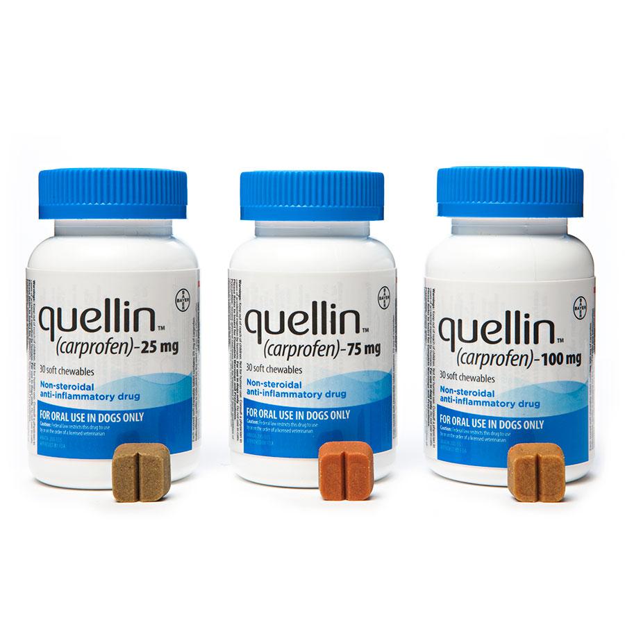 Quellin for Dogs, NSAID Soft Chewable Tablets - PetCareRx