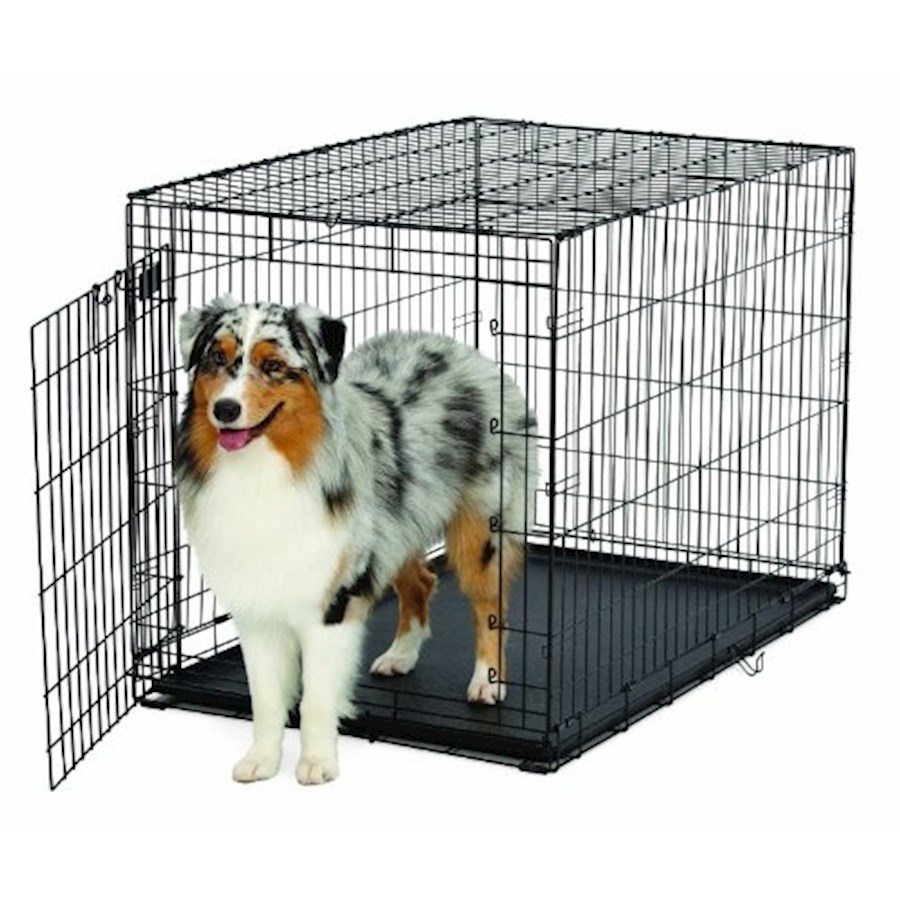Ace best sale pet crate