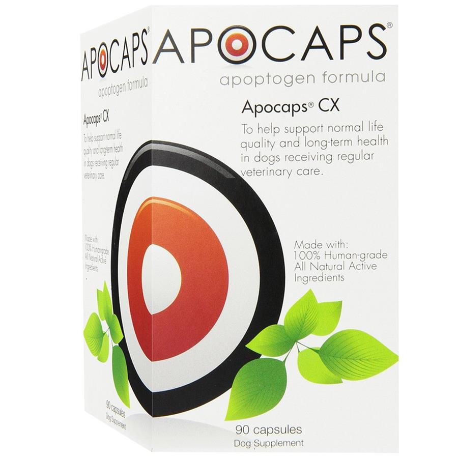 Apocaps best sale for dogs