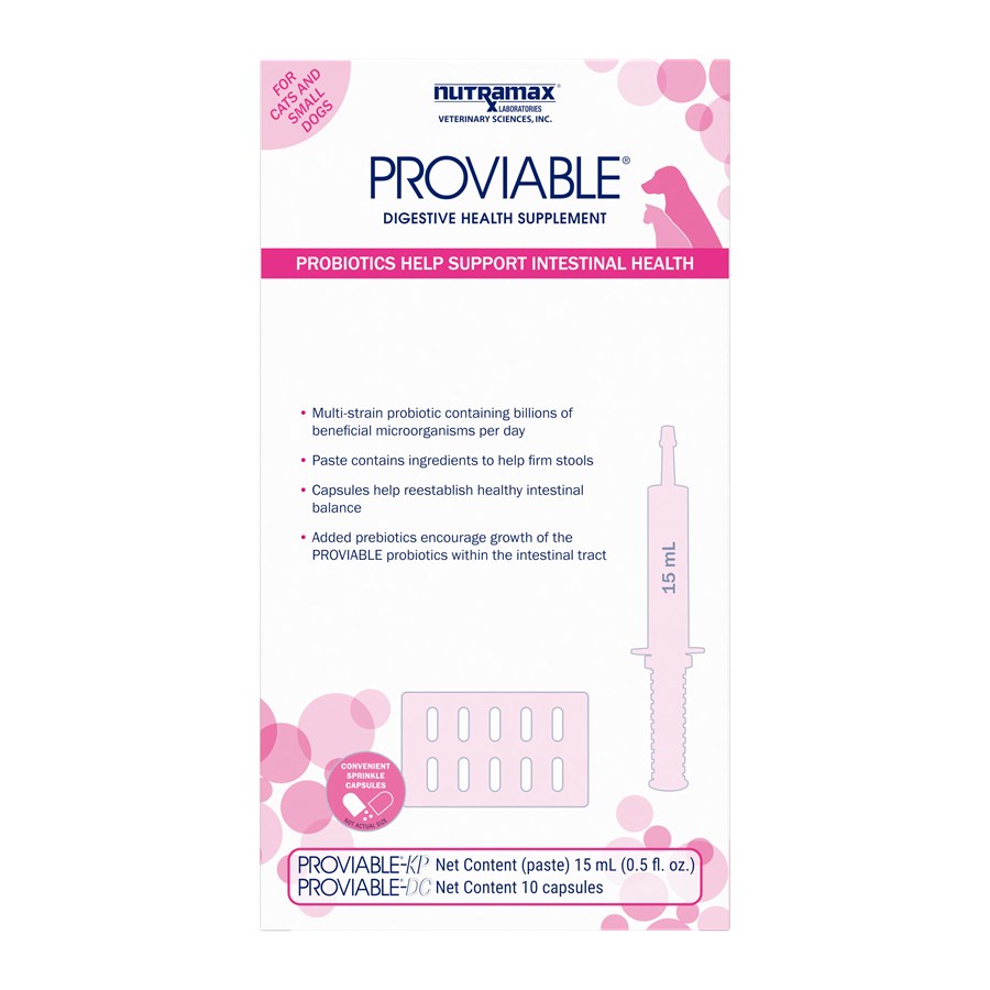 Proviable capsules deals for dogs