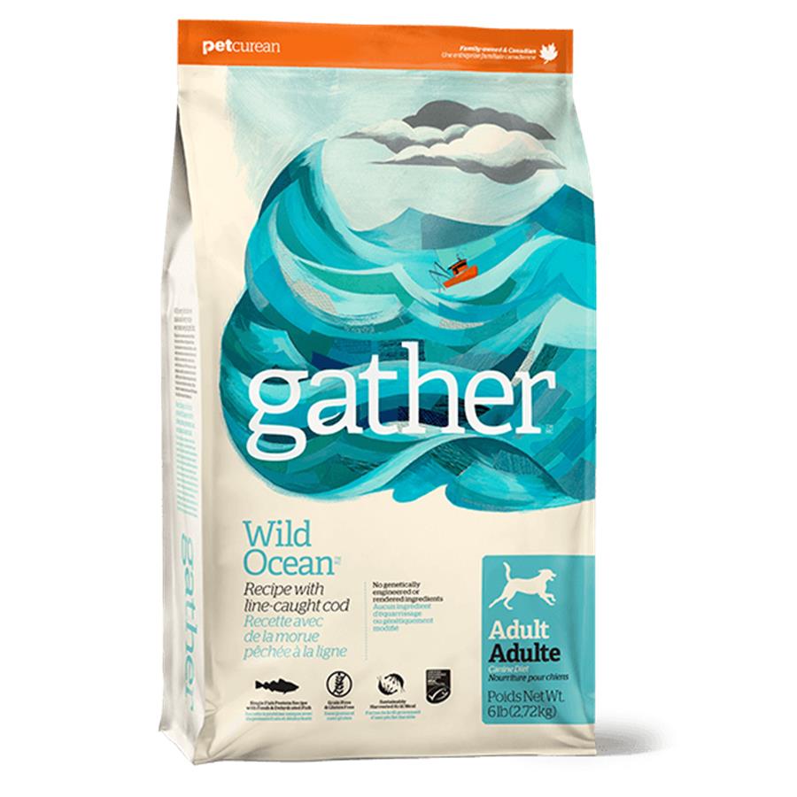 Buy Petcurean Gather Grain Free Wild Ocean Line Caught Cod Recipe