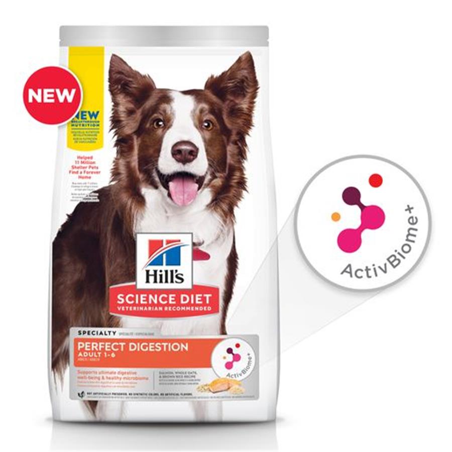 Salmon dry food for cheap dogs