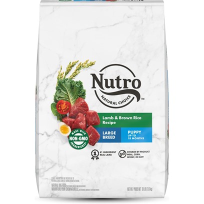 Nutro wholesome best sale essentials dog food