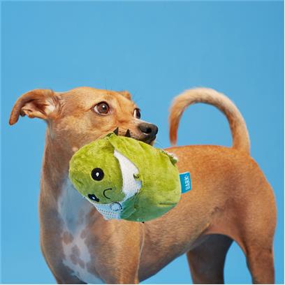bark consuela the cactus dog toy