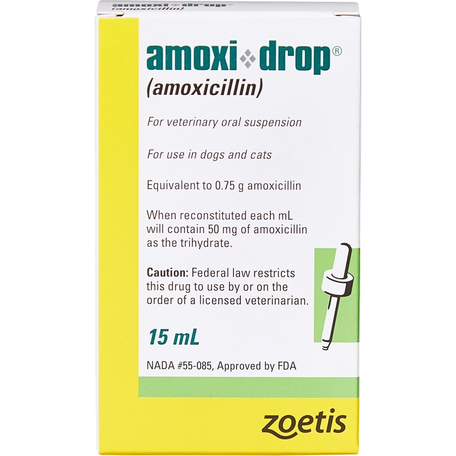 Amoxi Drops Amoxicillin for Dogs and Cats PetCareRx