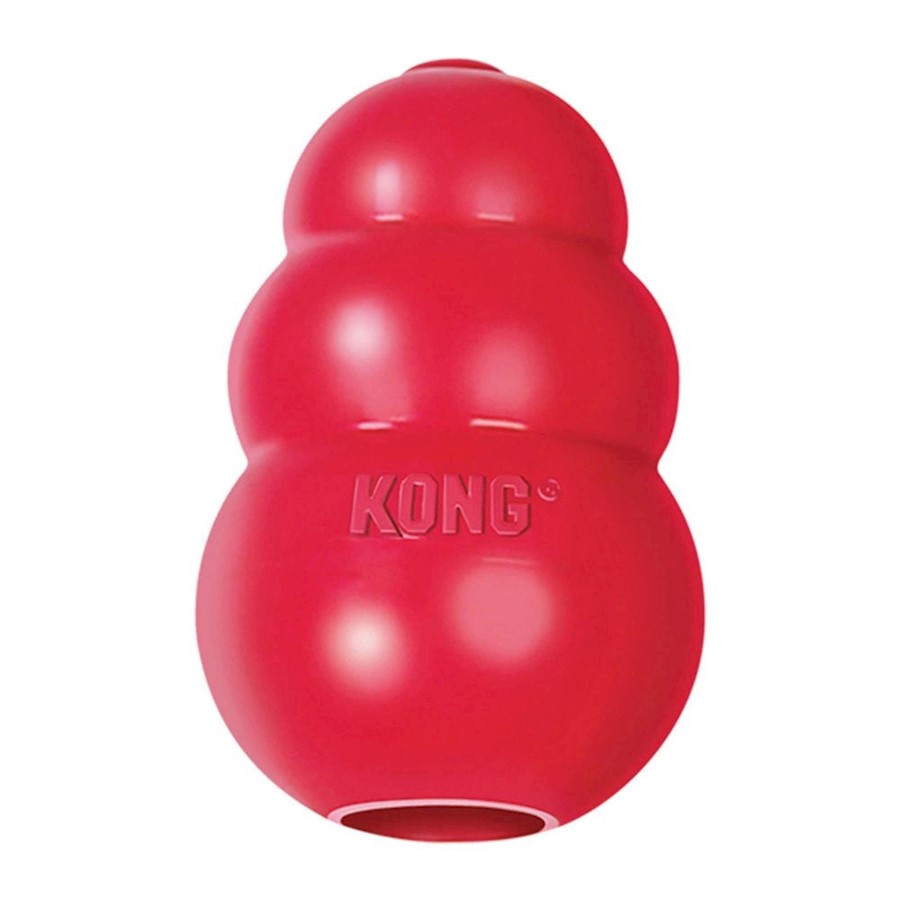 Toys to keep top dogs busy in crate