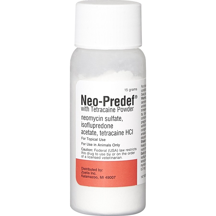 Neosporin powder for on sale dogs