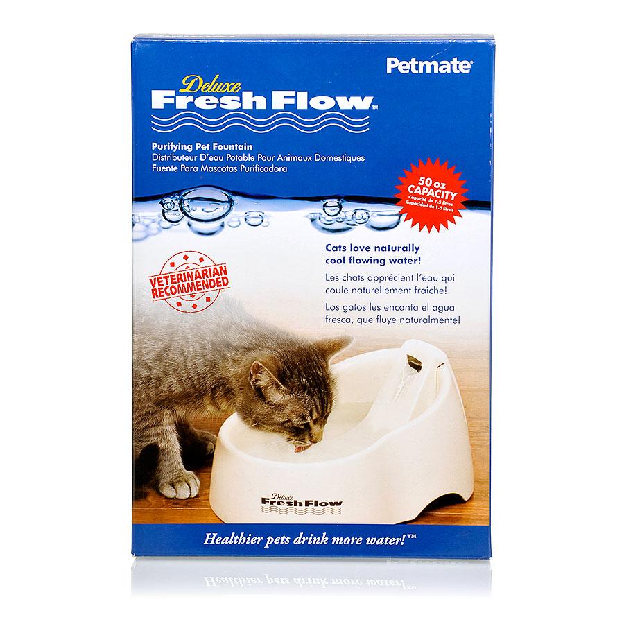 Fresh flow water fountain for cats online
