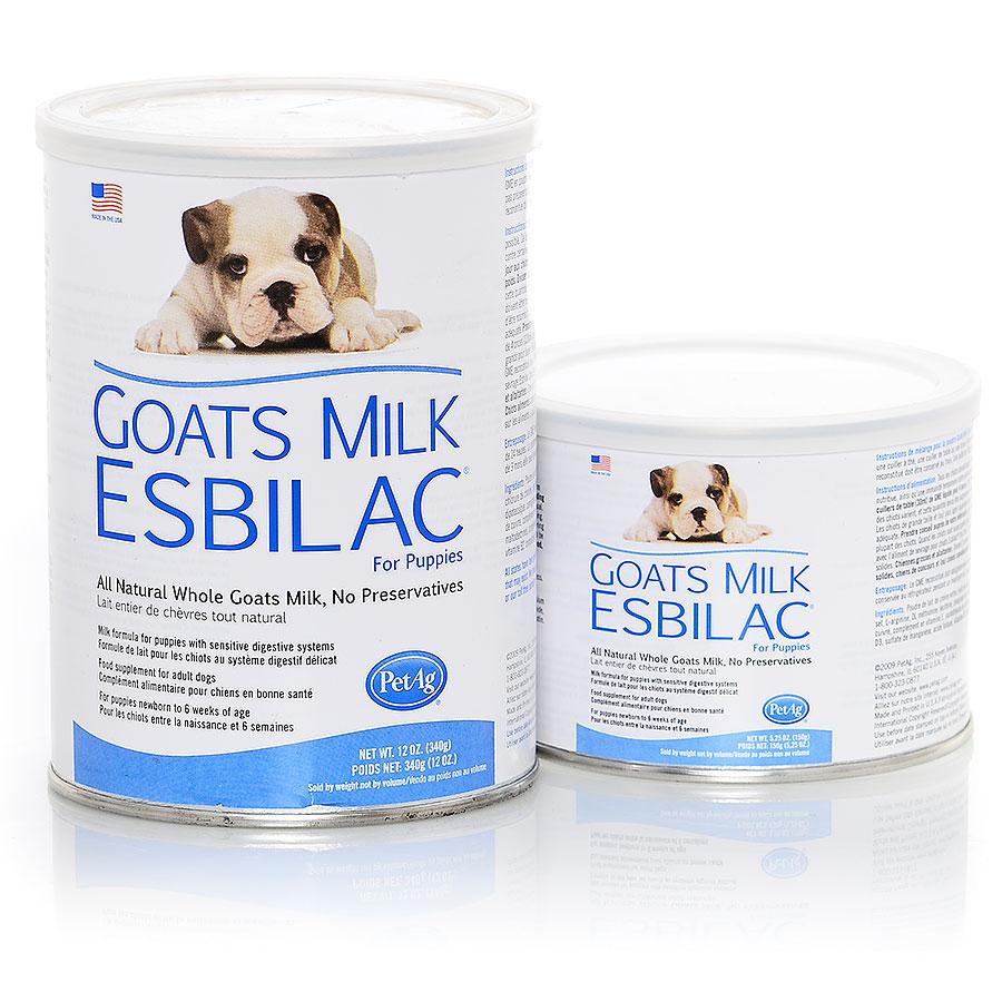 Dog goat milk powder online