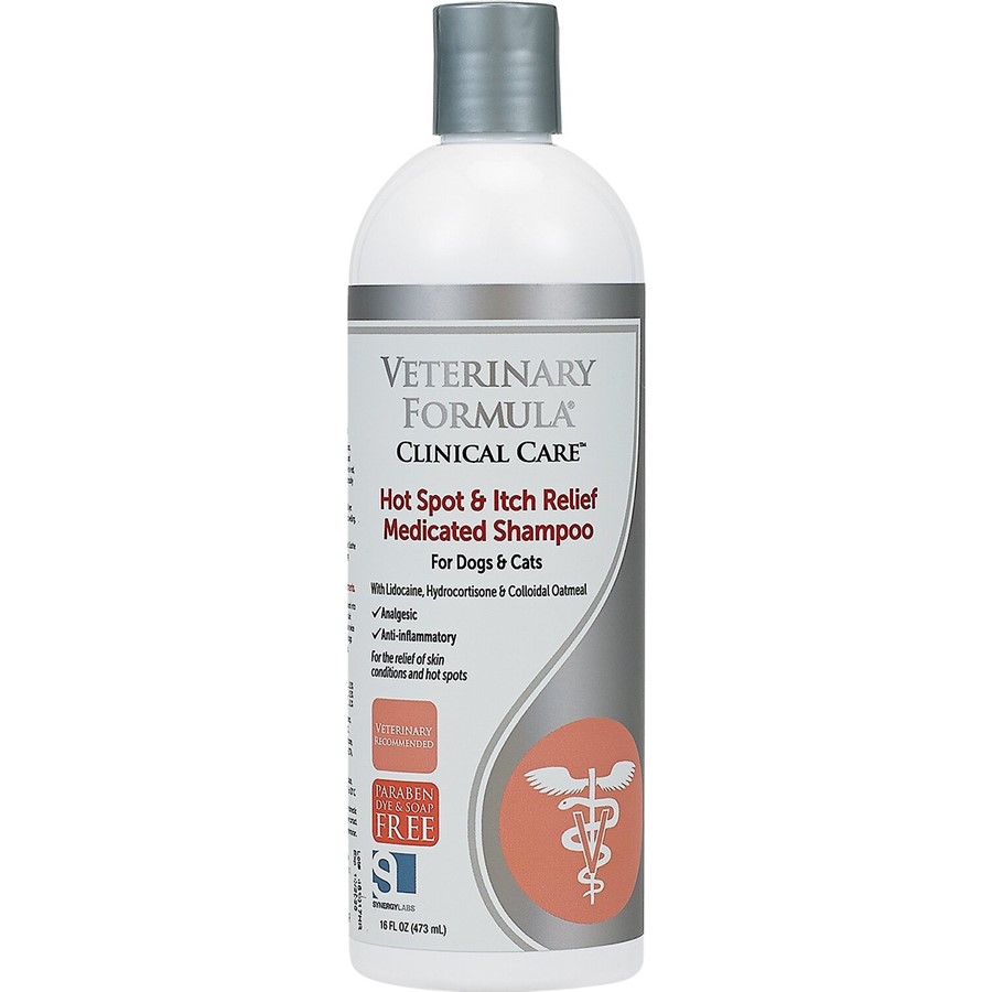 Diy medicated top dog shampoo
