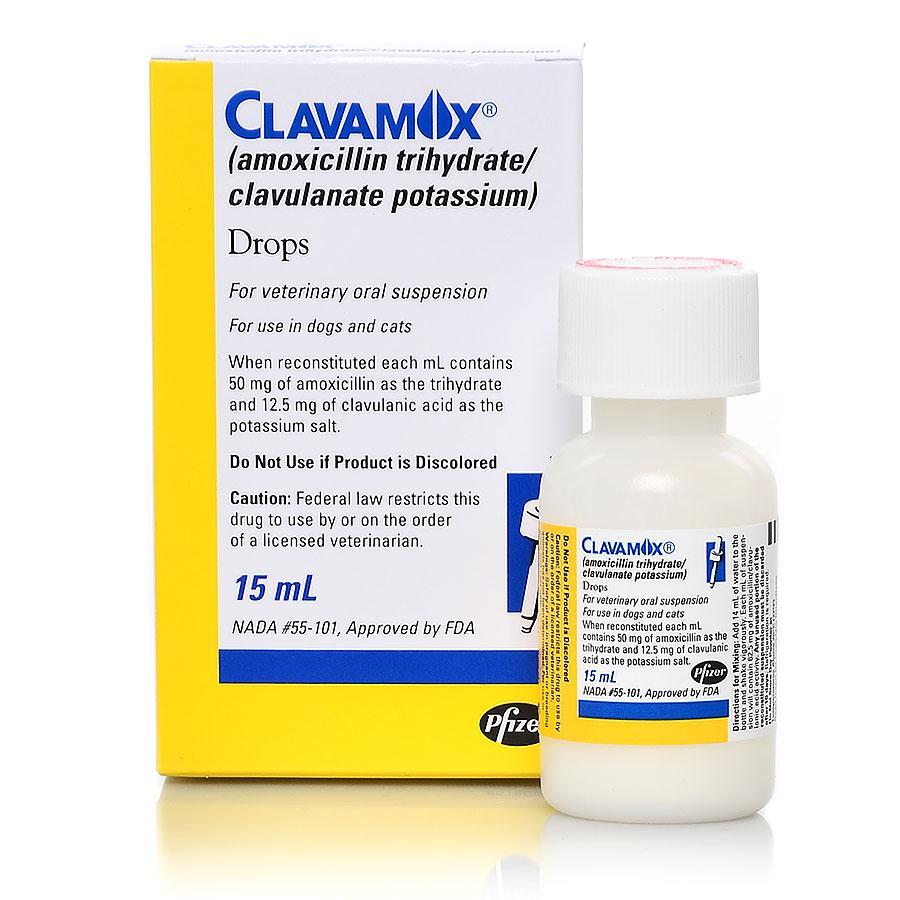 Clavamox for new arrivals dogs